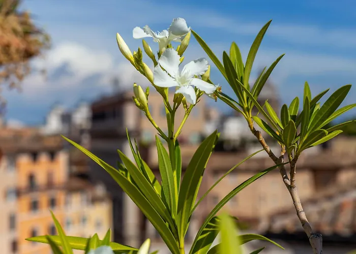 Iflat Campo De' Fiori Panoramic Penthouse Daire Roma